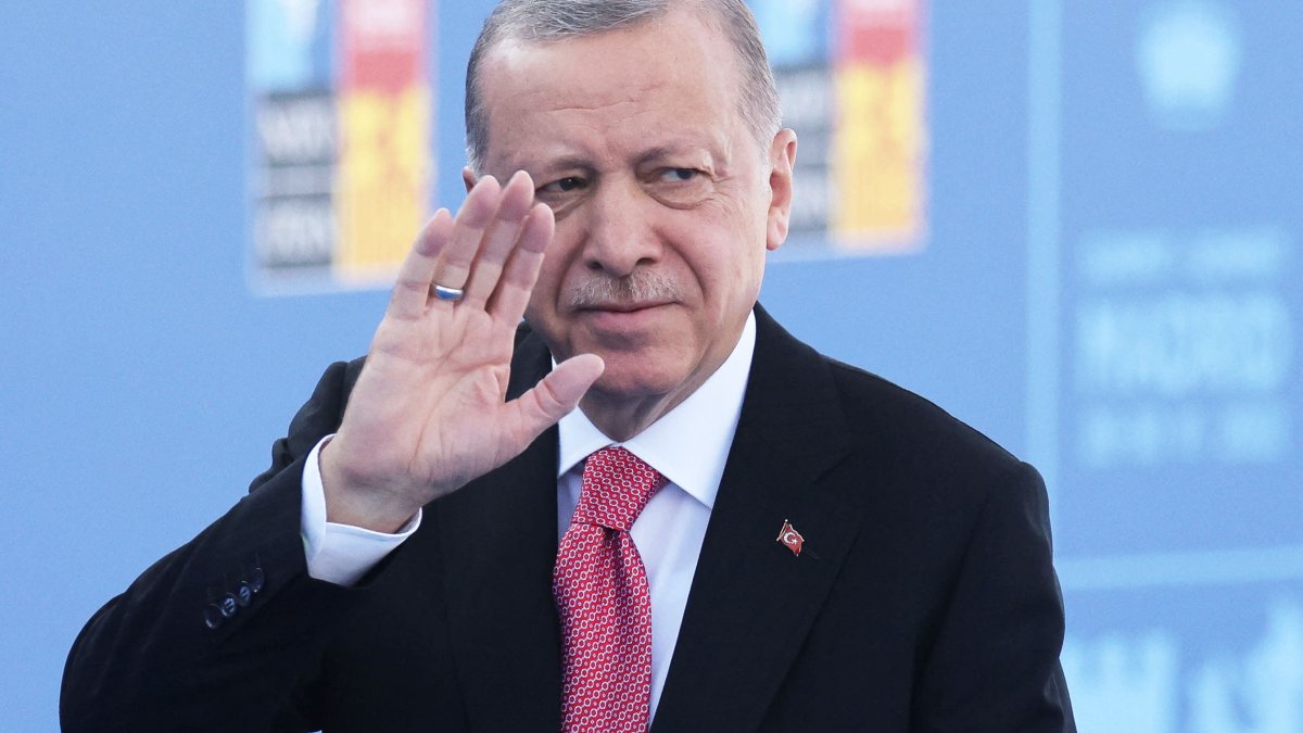 Sweden Is in the Final Stretch to NATO Membership. But Turkey Could Yet Derail It - Vimarsana News