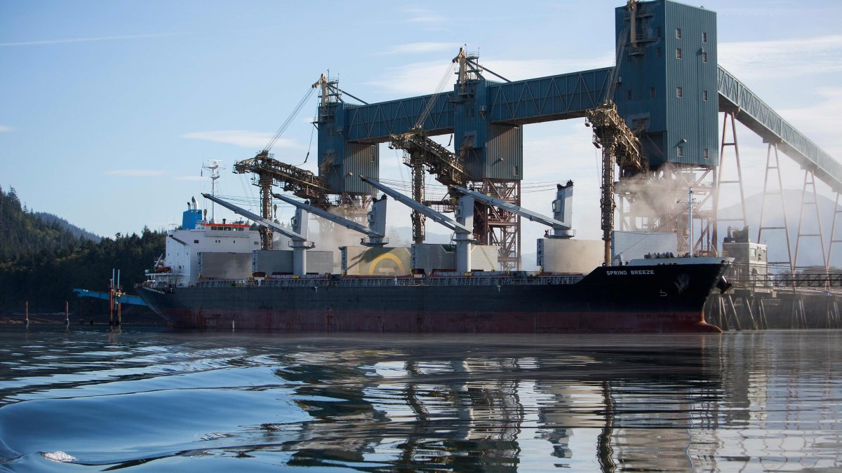 Canadian port workers back on strike after voting down government-brokered deal, returning supply chain to 'turmoil' – NBC 5 Dallas-Fort Worth - Vimarsana News