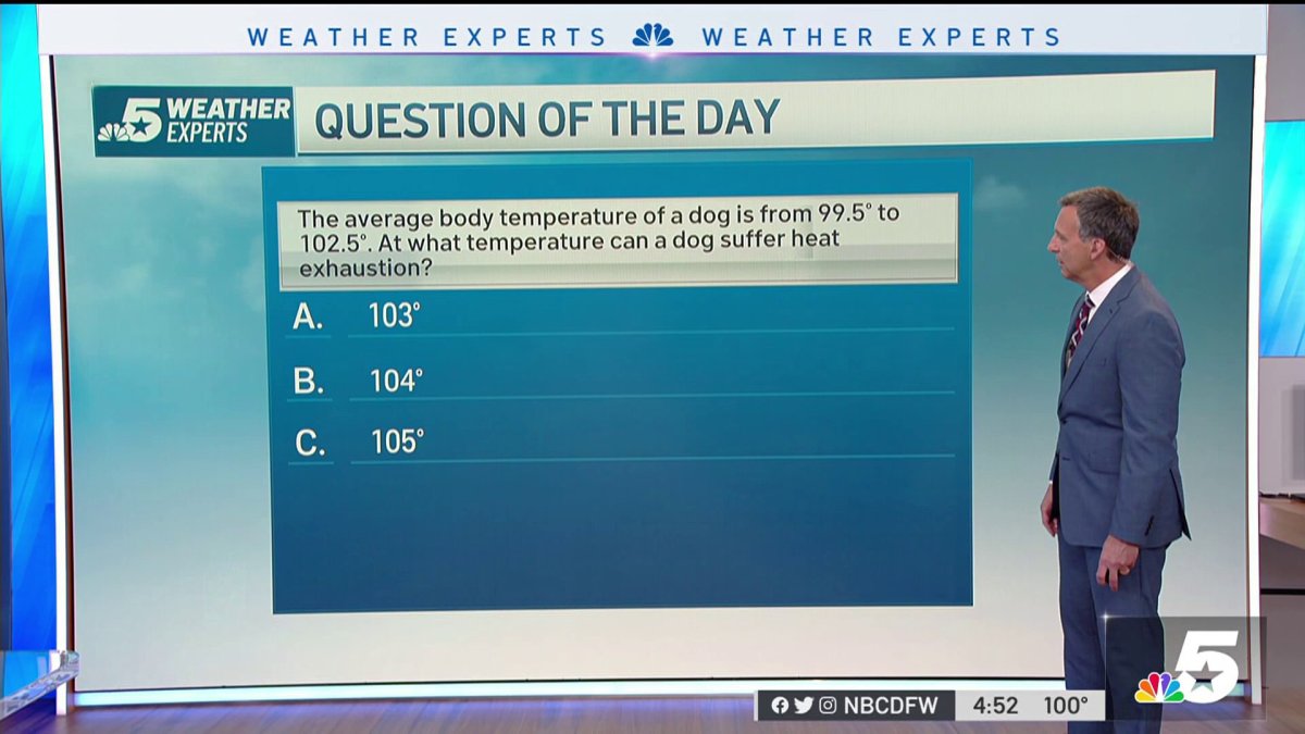 Weather Quiz Dog heat exhaustion NBC 5 DallasFort Worth
