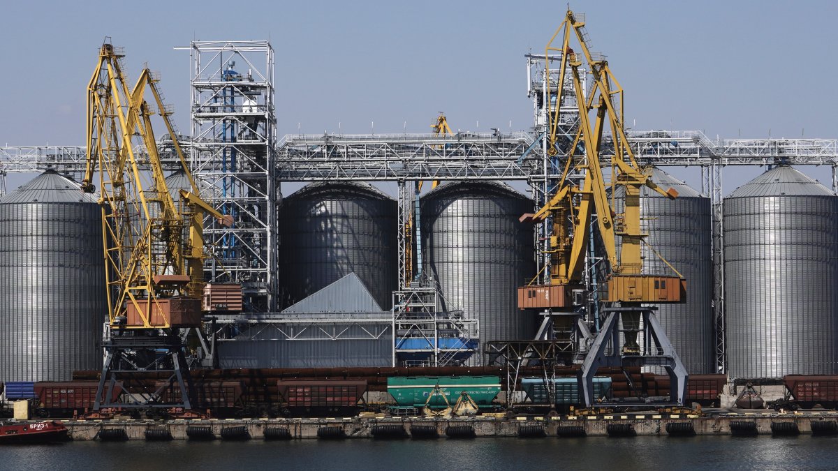 Russian Port Strikes Slash Ukraine Grain Exports by One-Third