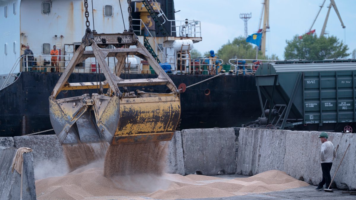 Russia halts wartime deal that allows Ukraine to ship grain – NBC 5 Dallas-Fort Worth - Vimarsana News