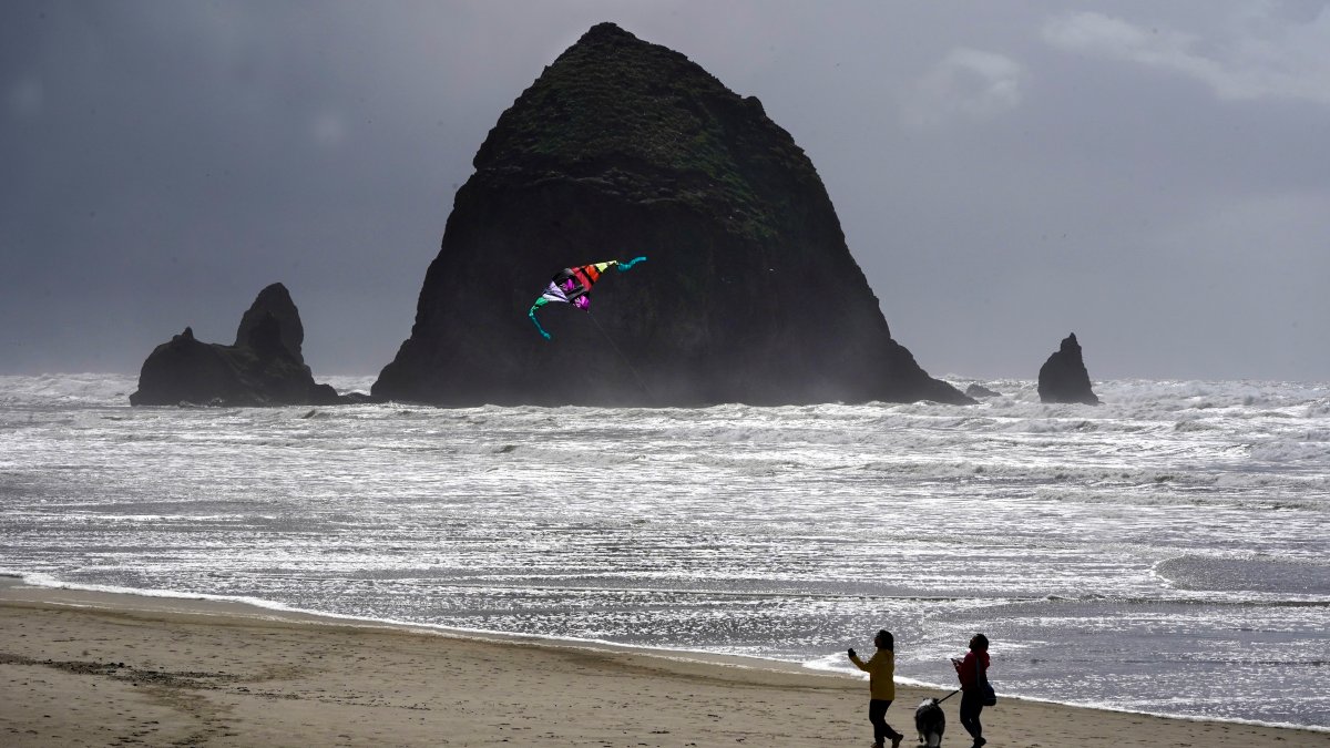 Oregon's Cannon Beach reopens after cougar sighting – NBC 5 Dallas-Fort Worth - Vimarsana News
