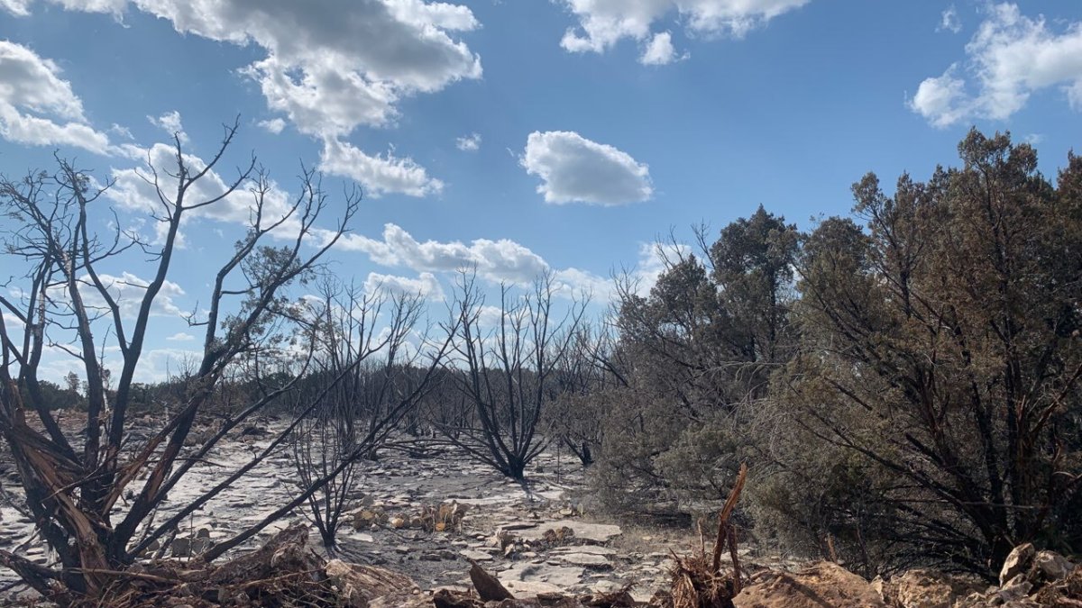 Humancaused ‘storage fire’ rekindles near Possum Kingdom Lake NBC 5 DallasFort Worth