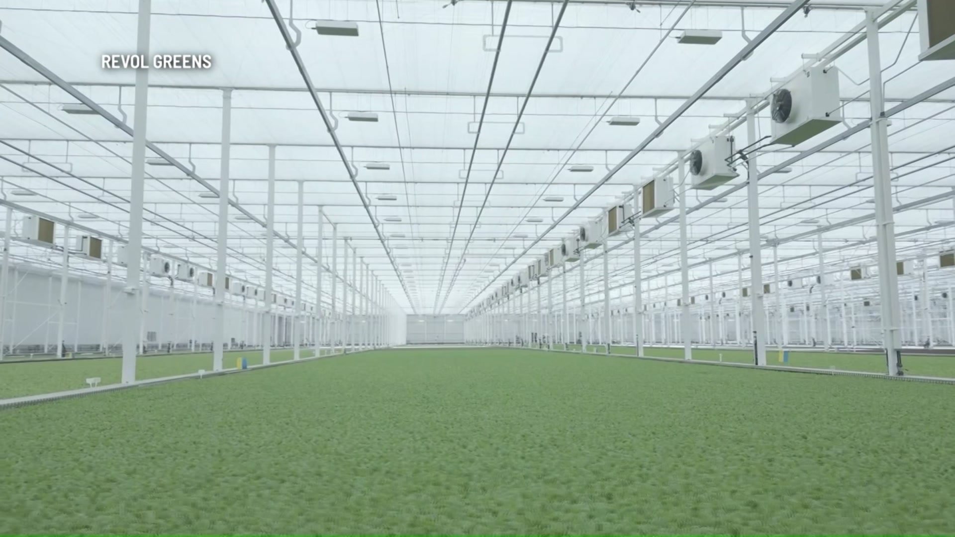 Texas is home to 'world's largest lettuce greenhouse' – NBC 5 Dallas-Fort Worth - Vimarsana News
