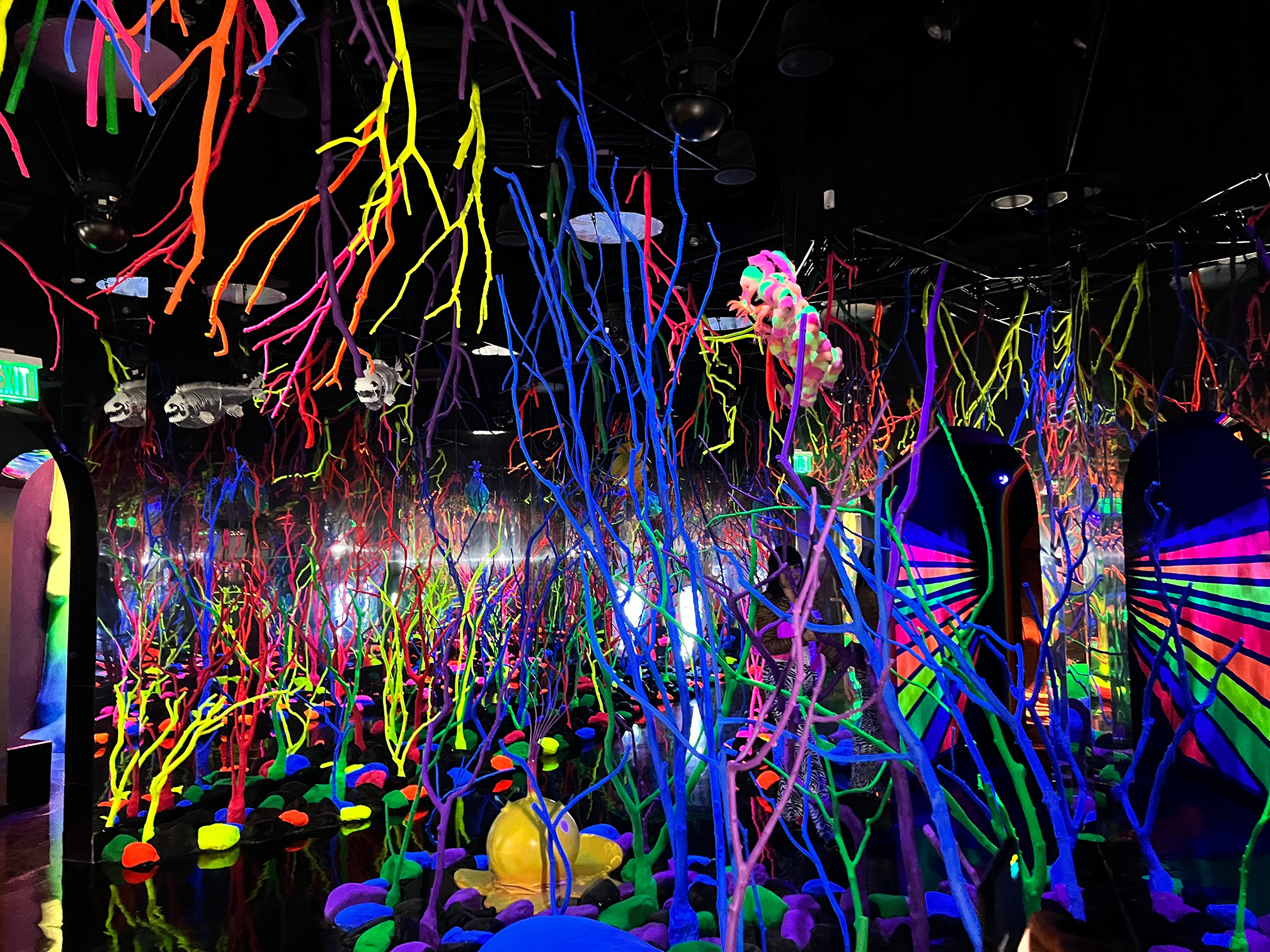 Meow Wolf Grapevine to open Friday – NBC 5 Dallas-Fort Worth