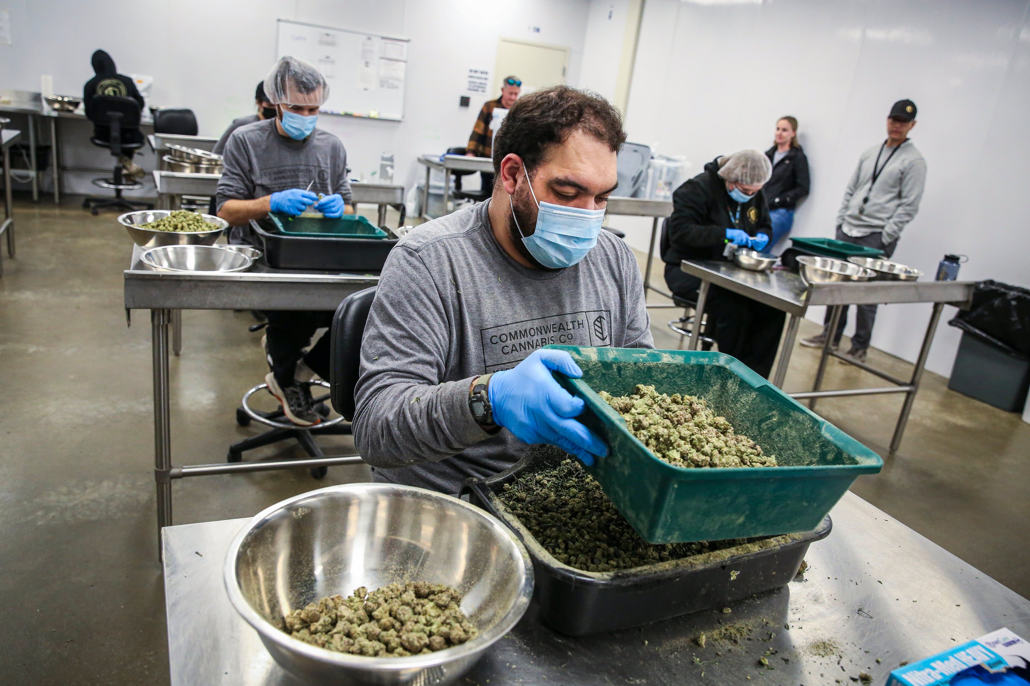 HHS calls for easing restrictions on marijuana, sending cannabis stocks higher - Vimarsana News