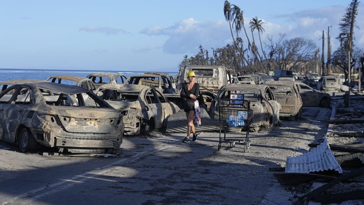 Maui wildfire victims receive help from Paradise fire survivors – NBC 5 Dallas-Fort Worth - Vimarsana News