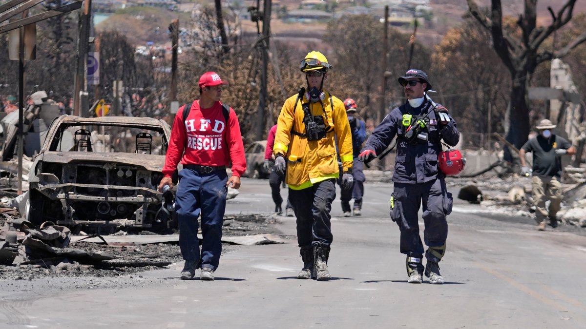 Here's how authorities plan to identify the victims of Maui's wildfires – NBC 5 Dallas-Fort Worth - Vimarsana News