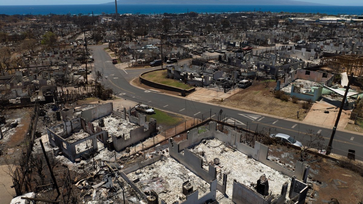 Maui County sues utility company over wildfires that killed more than 100 people