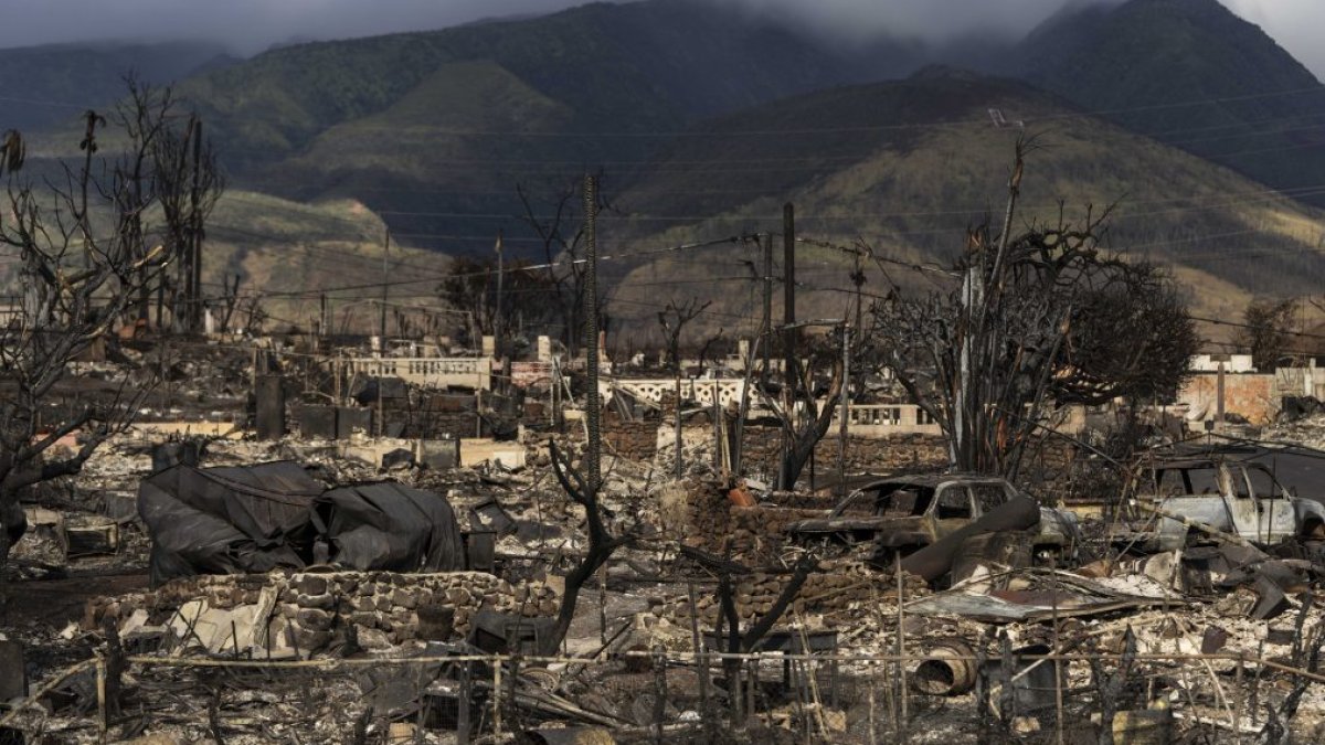 Maui wildfires: Some missing people found after Hawaii officials release list – NBC 5 Dallas-Fort Worth - Vimarsana News