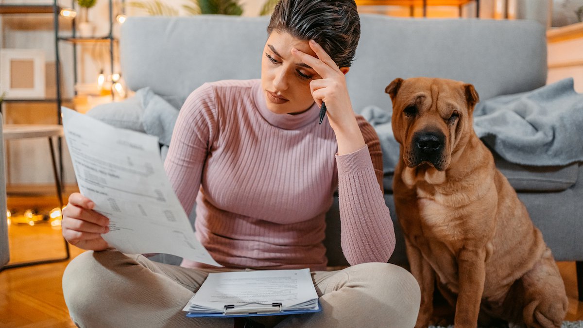 As pet insurance becomes more popular, pet owners fret about rising prices, denied claims – NBC 5 Dallas-Fort Worth - Vimarsana News