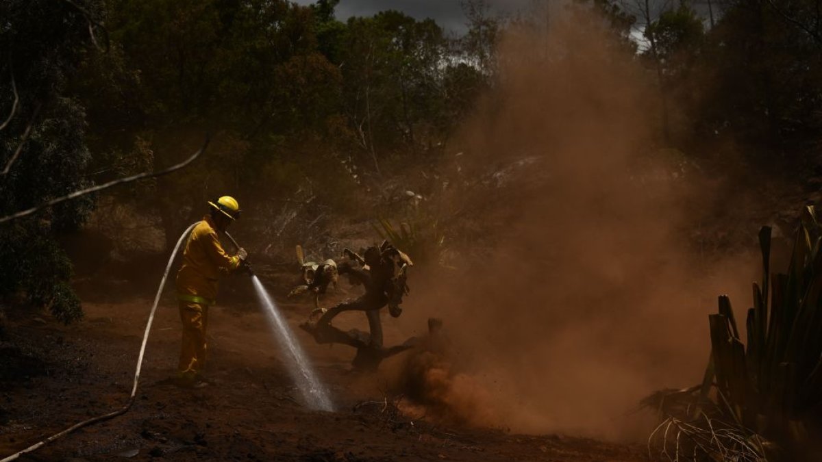 Hawaii electric company says power lines did not cause deadly Maui wildfire – NBC 5 Dallas-Fort Worth - Vimarsana News
