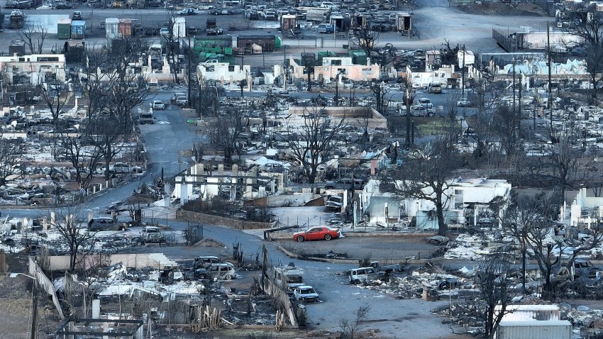 In an aerial view, burned cars and homes are seen in a neighborhood that was destroyed by a wildfire on August 18, 2023 in Lahaina, Hawaii.