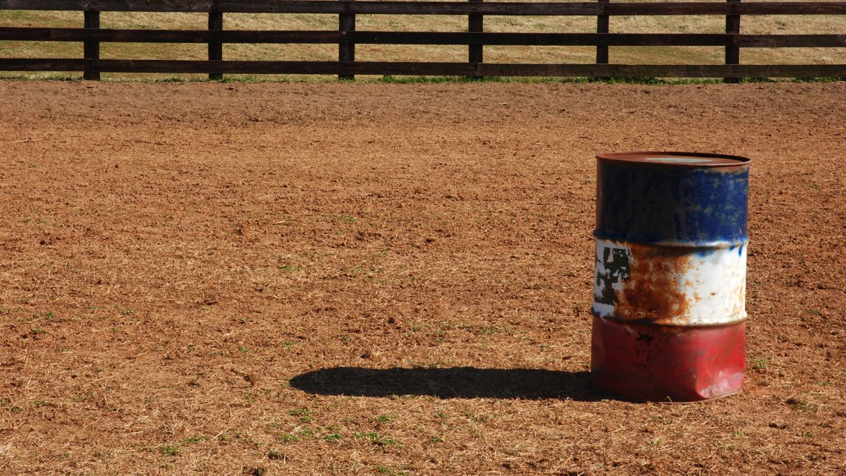 On the lam for weeks, Willie the rodeo goat has been found – NBC 5 Dallas-Fort Worth - Vimarsana News