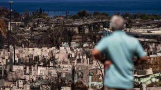 A man views the aftermath of a wildfire in Lahaina, Hawaii, Aug. 19, 2023.