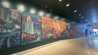 Tiffany Chung mural Dallas Museum of Art 1