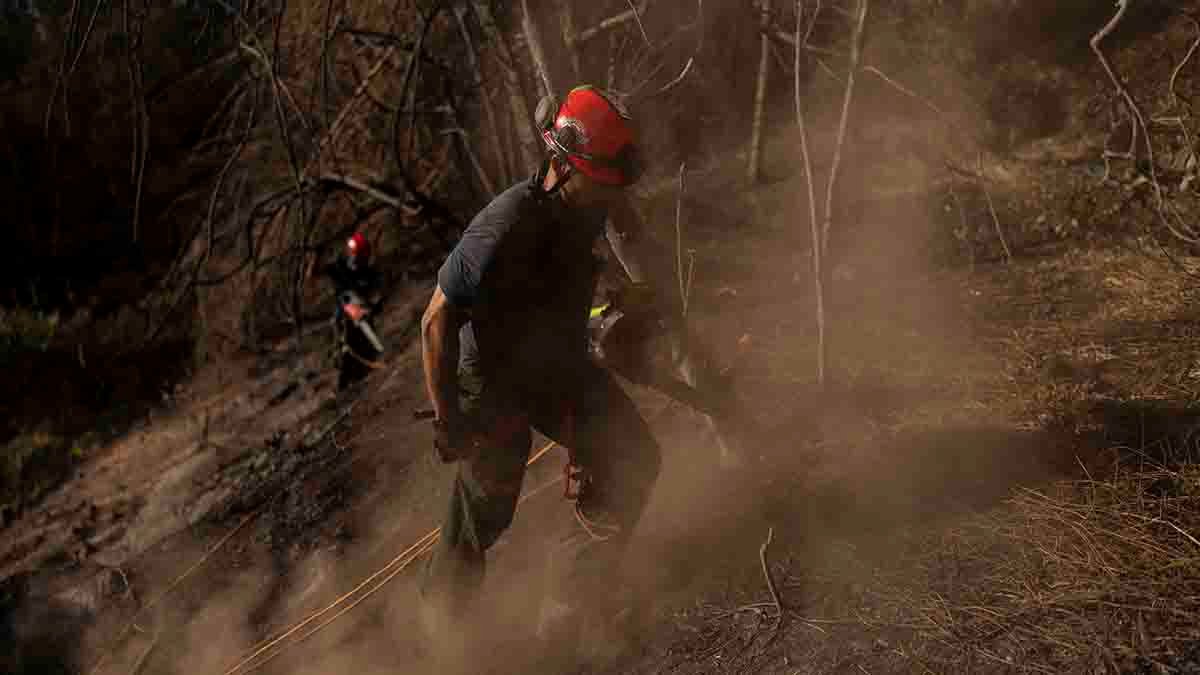 Maui wildfire survivors face power cuts and poor cell service amid ongoing search efforts – NBC 5 Dallas-Fort Worth - Vimarsana News
