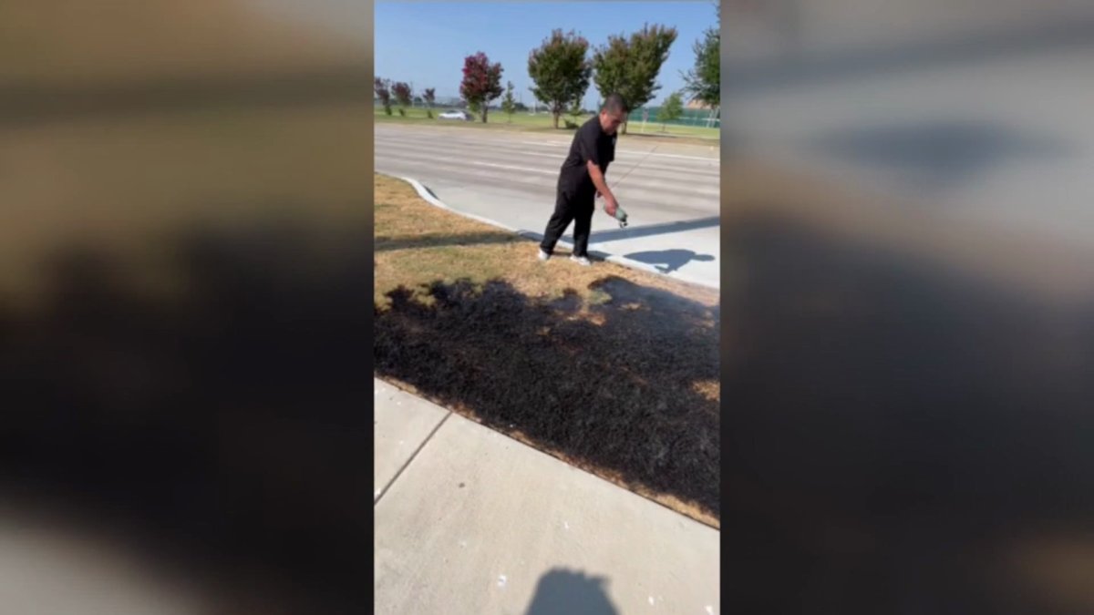 Bird sparks McKinney grass fire, citizens spring into action - Vimarsana News