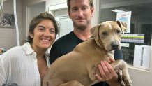 Roman was missing for two days but thanks to a microchip with up-to-date contact information, Maui Humane Society was able to reunite him with his family.