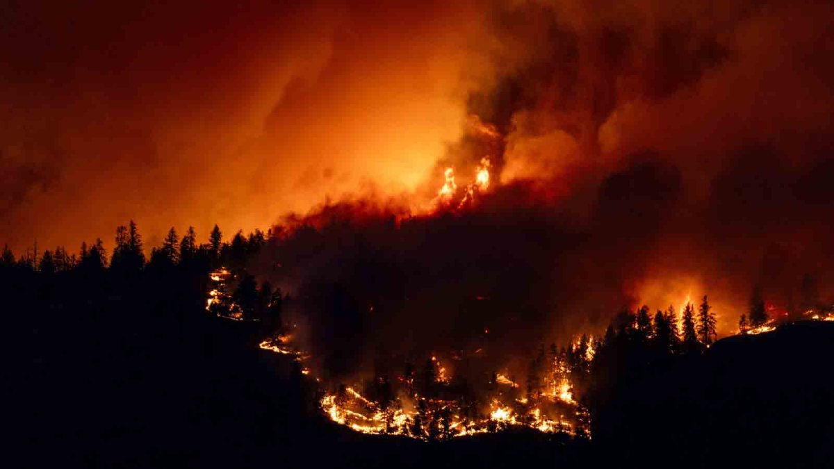 Canadian firefighters battling wildfires to save communities – NBC 5 Dallas-Fort Worth - Vimarsana News