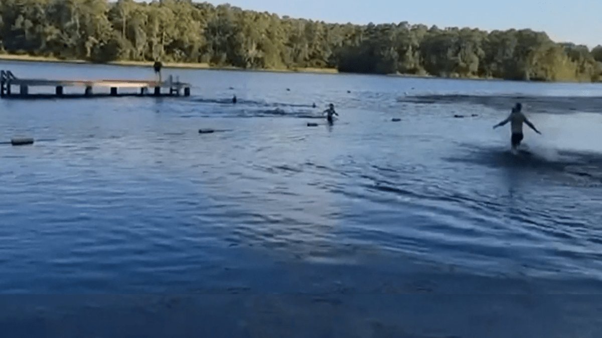 Scary footage shows 14-foot alligator swimming toward group of Girl Scouts in Texas lake