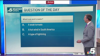 Weahter Quiz: Anvil crawler