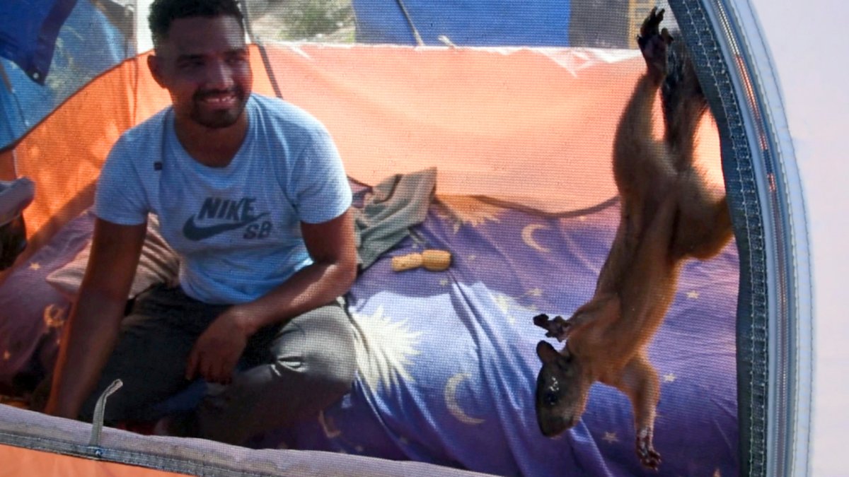 Venezuelan man travels 3,000 miles to US-Mexico border with his pet squirrel: ‘They gave each other courage'