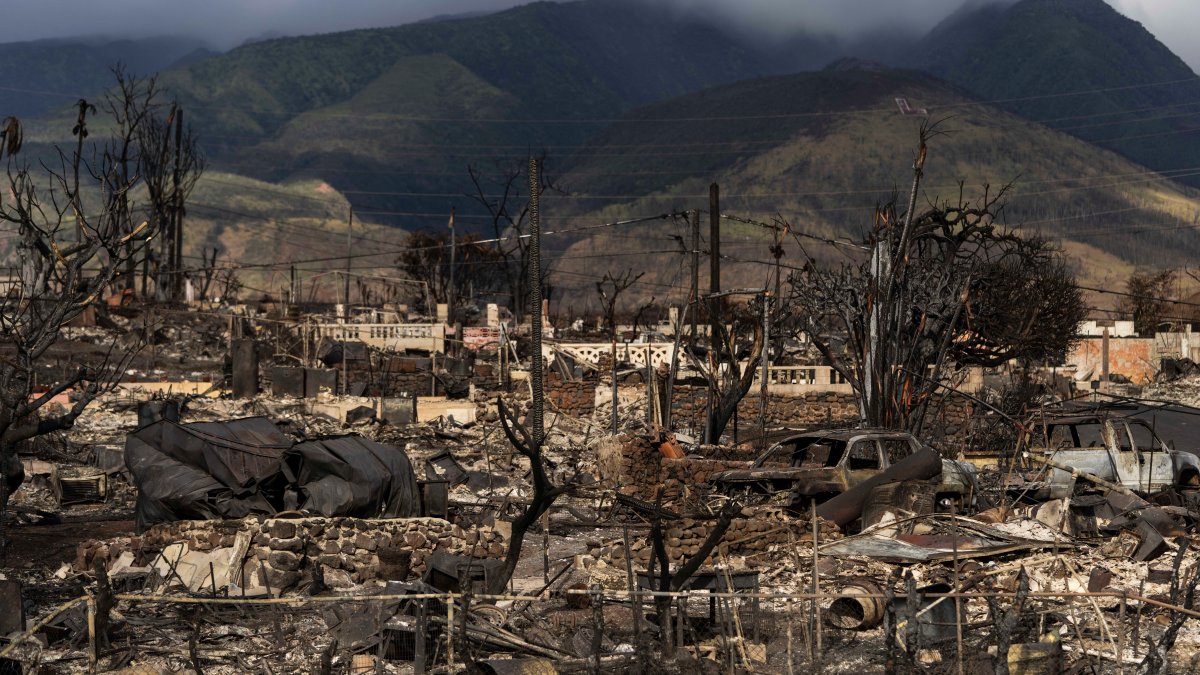 Hawaiian Electric at center of first congressional hearing on Maui wildfires – NBC 5 Dallas-Fort Worth - Vimarsana News