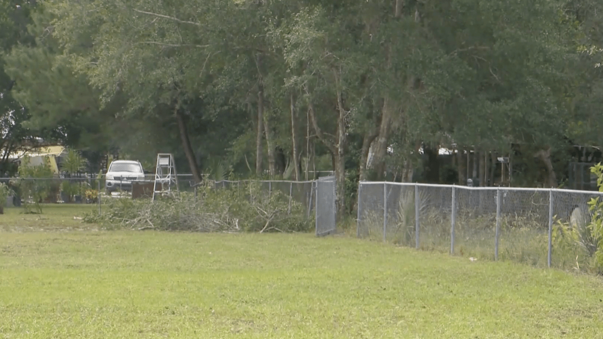 78-year-old arrested after man trimming trees for neighbor was shot and killed in Florida