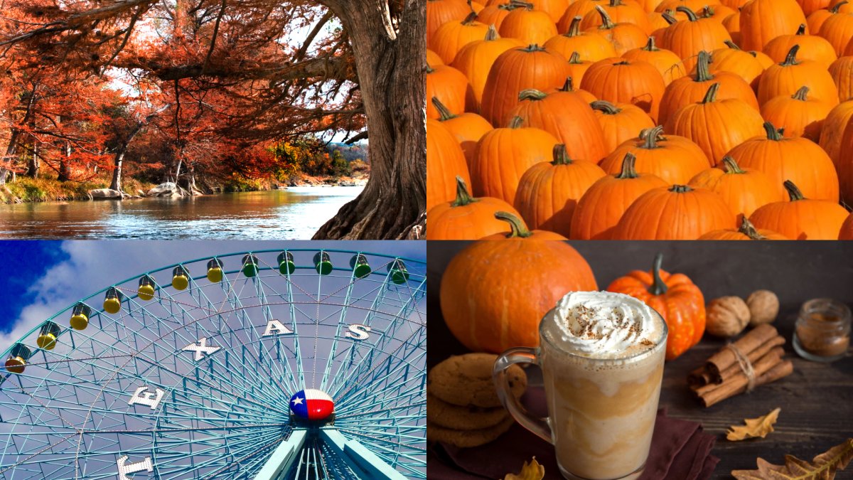 Things To Do In Dallas Fort Worth This Fall NBC 5 Dallas Fort Worth things-to-do-in-dallas-fort-worth-this-fall-nbc-5-dallas-fort-worth