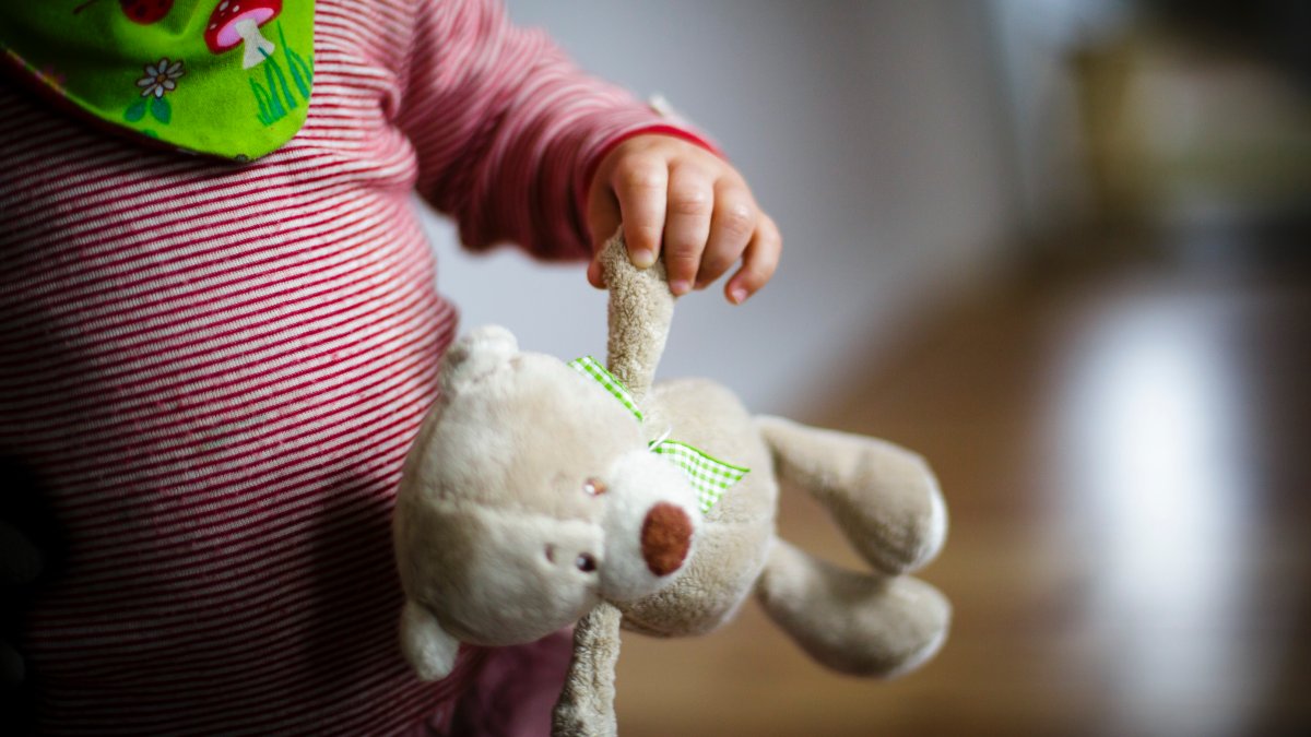 2-year-old girl lost in the woods found asleep using family dog as a pillow