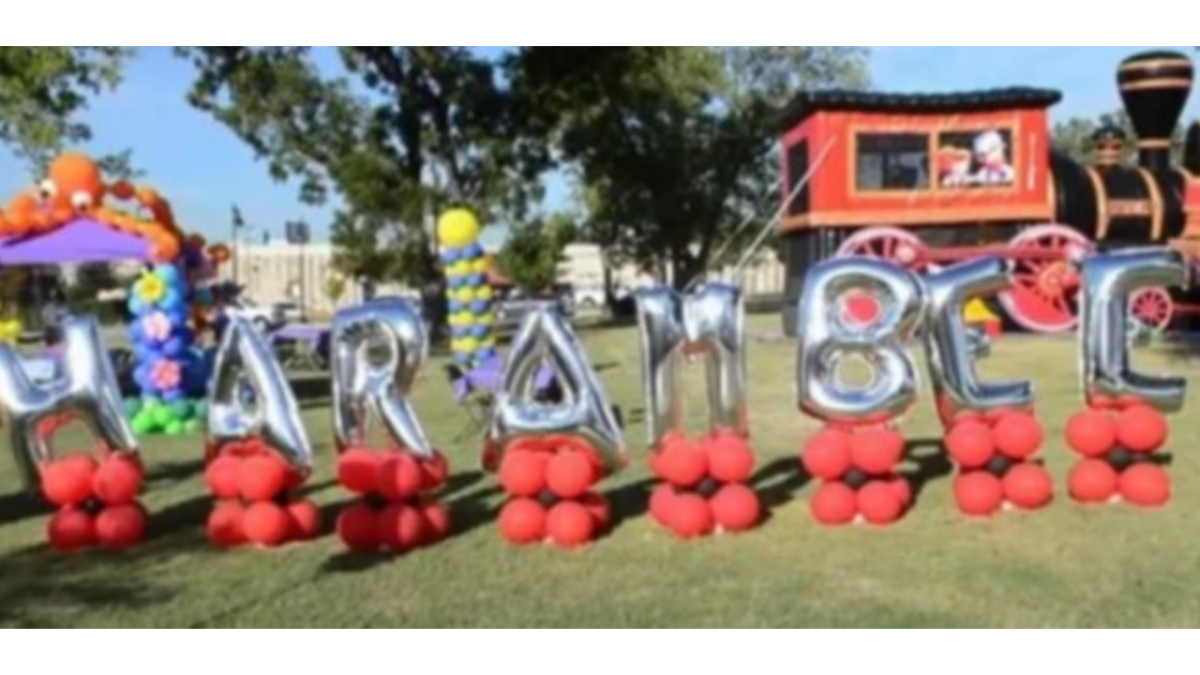 Tarrant County Harambee Festival - Vimarsana News