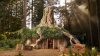 Sleep-ogre! Shrek's Swamp available for two-night stay through Airbnb