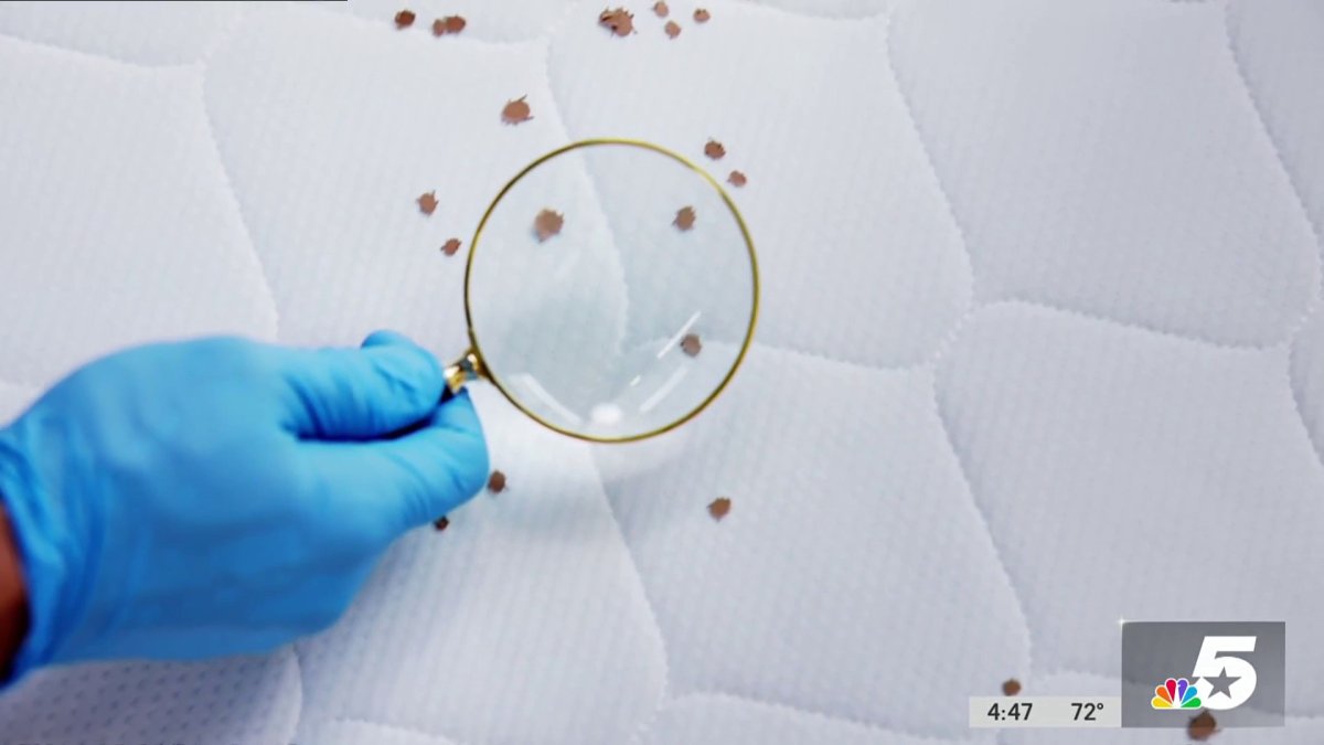 Tips to keep bed bugs away on your next trip NBC 5 DallasFort Worth