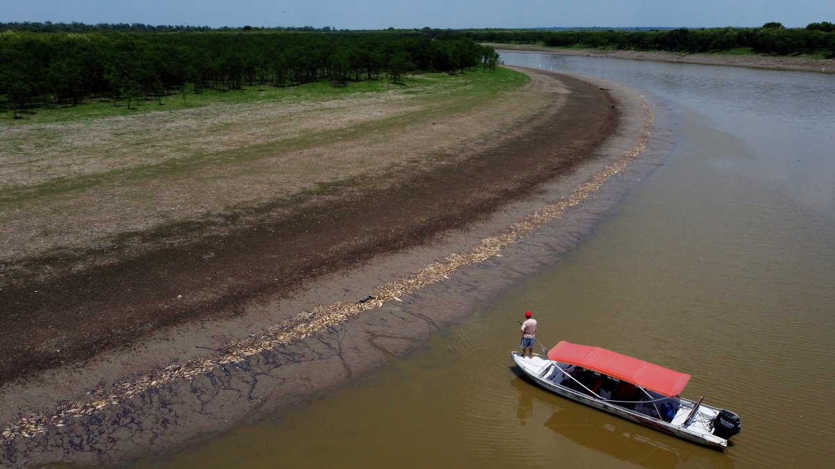 Brazil's Amazon faces drought and high water temperatures, causing more than 100 dolphins to die – NBC 5 Dallas-Fort Worth - Vimarsana News