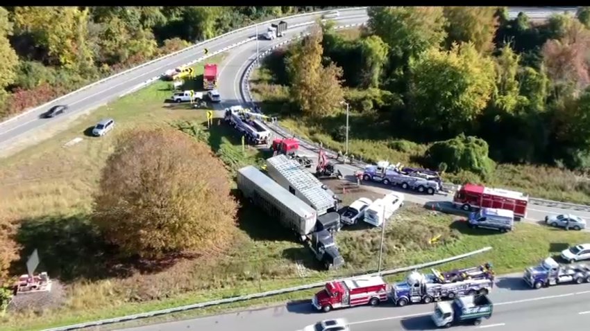 A tractor-trailer carrying 44 cows rolled over on a ramp on Interstate 84 in Newtown early Thursday morning and 20 cows have died.