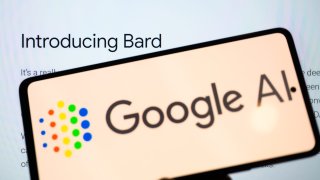 What Bard said when Google VC asked the A.I. about the value of corporate diversity