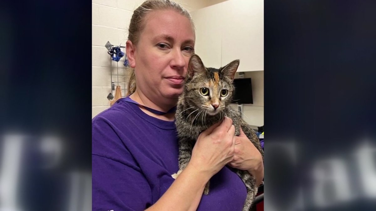 Animal welfare community remembers advocate who dies in crash