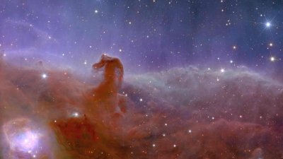  Incredible first images from Euclid space telescope released