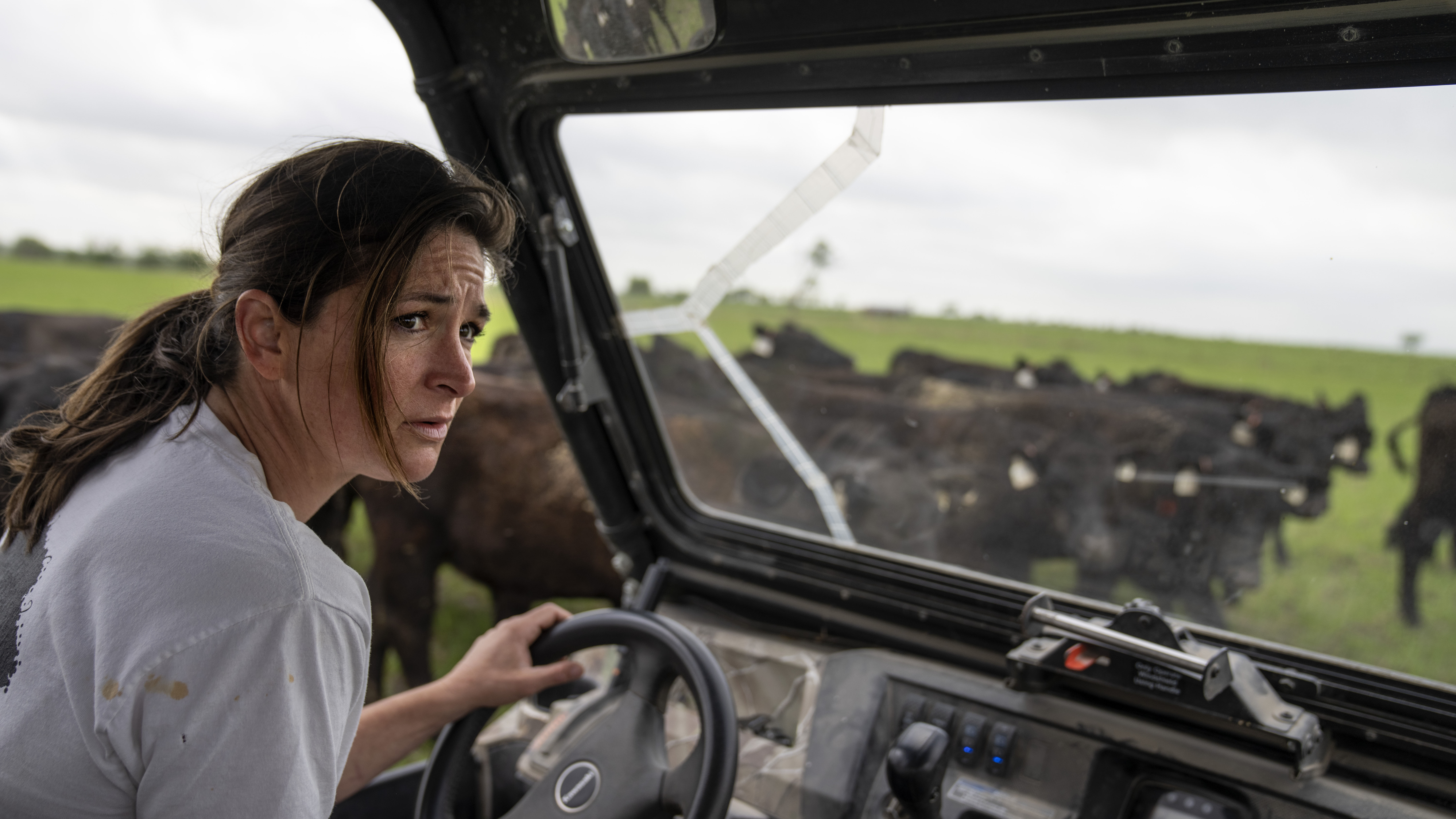 Beef is hard on the planet, a Texas rancher wants to change that – NBC ...