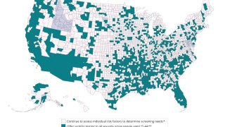 This image provided by the U.S. Centers for Disease Control and Prevention on Tuesday, Nov. 7, 2023, shows counties, shaded in teal, where federal officials suggest offering syphilis testing to all sexually active people between the ages of 15 and 44. The Associated Press estimated the suggestion could affect tens of millions of people, based on federal data.