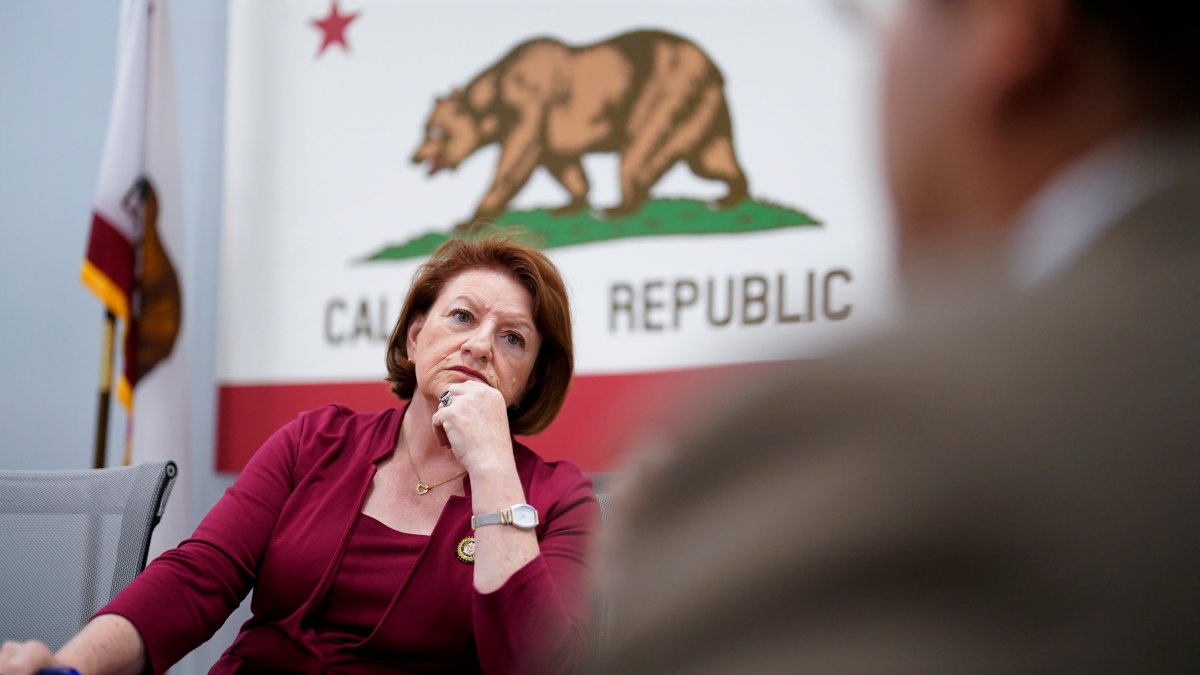 California's first lesbian Senate leader could make history again if she runs for governor