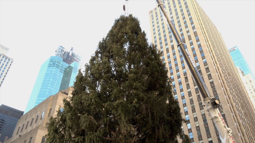 The Rockefeller Center Christmas Tree.