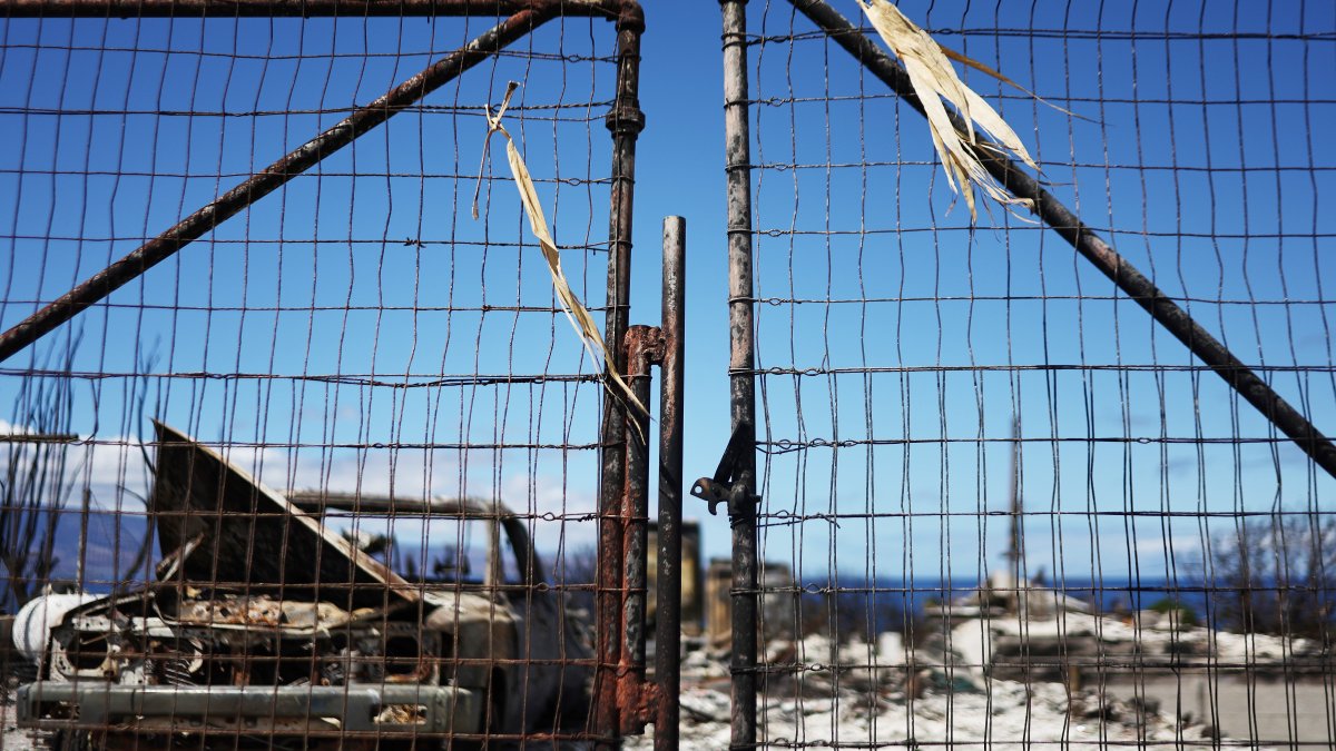 Helicopters drop water in Hawaii's Central Oahu wildfire for second day as native trees burn