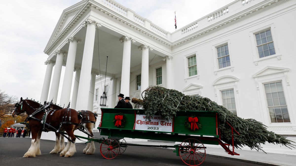 See the 2023 White House holiday decorations – NBC 5 Dallas-Fort Worth - Vimarsana News
