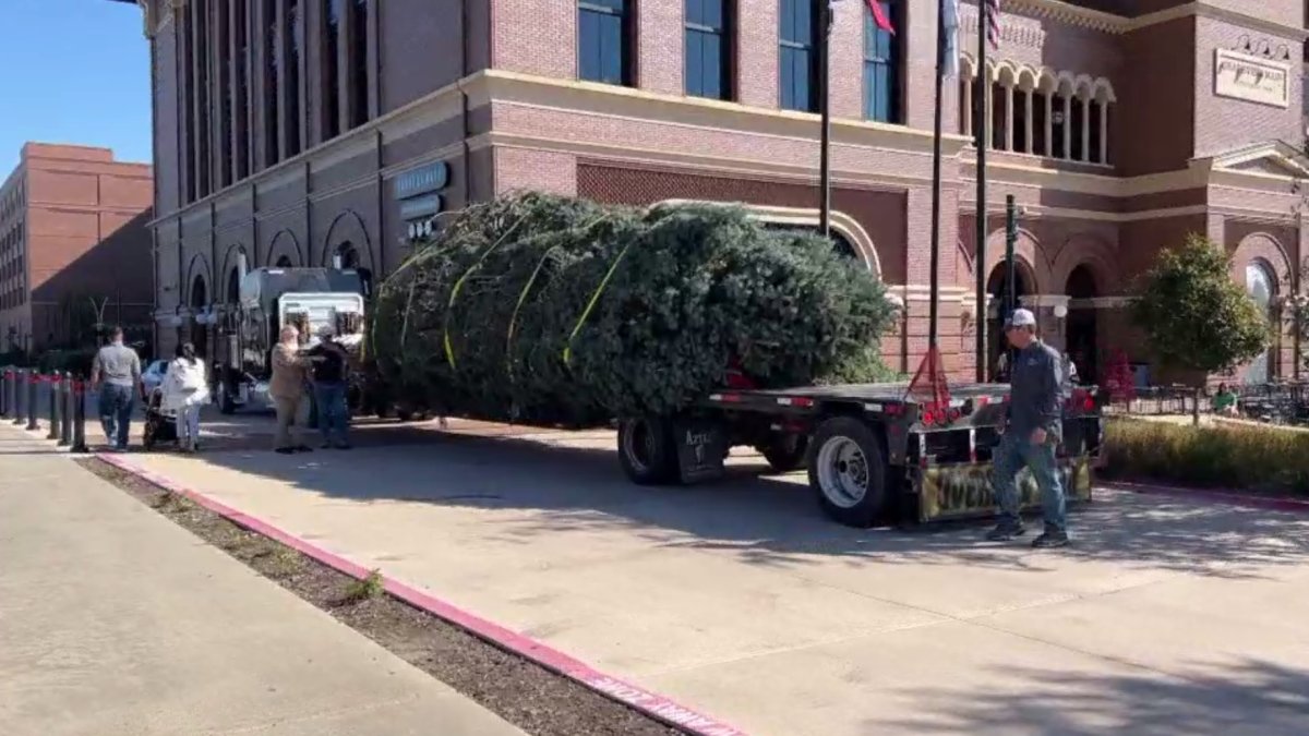 Holiday tree is up in Grapevine – NBC 5 Dallas-Fort Worth - Vimarsana News