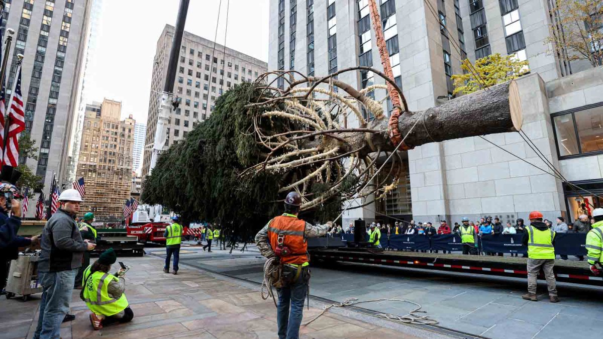 Rockefeller Center Christmas tree: What to know – NBC 5 Dallas-Fort Worth - Vimarsana News
