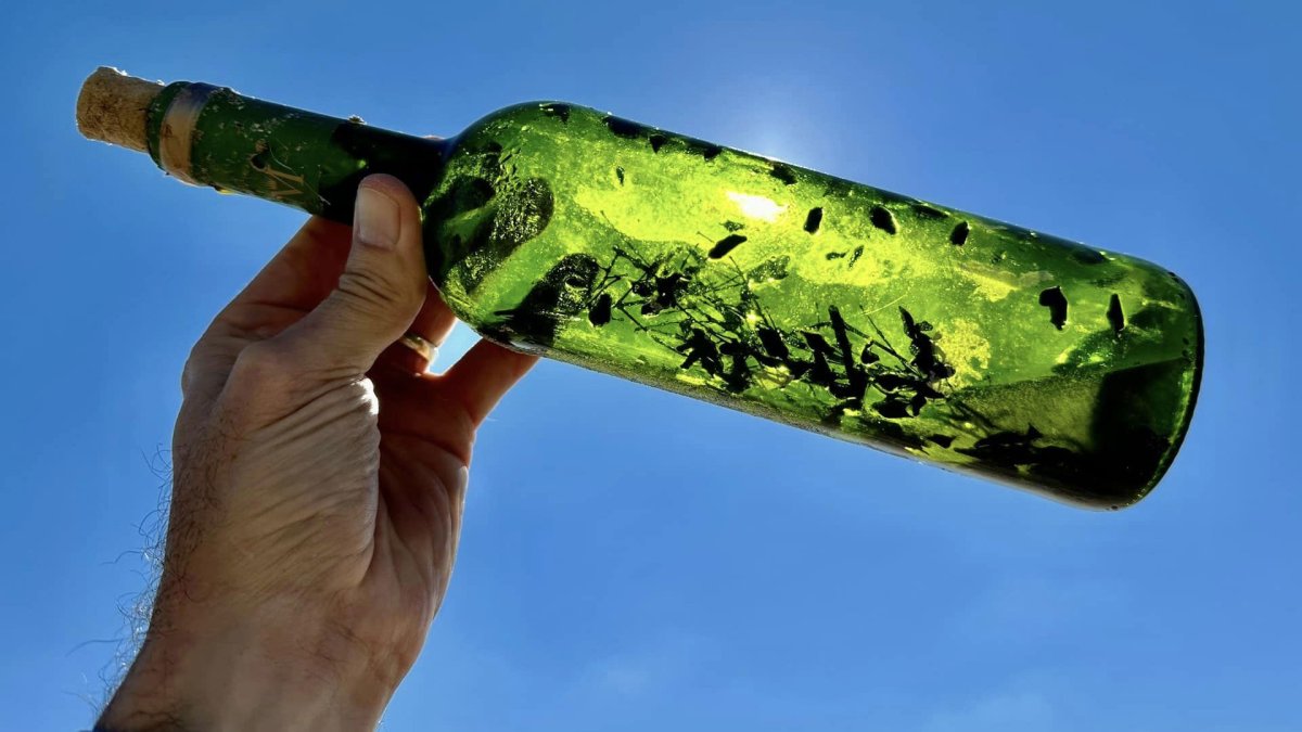Por qué están apareciendo ‘botellas de brujas’ mágicas en las playas de Texas – NBC 5 Dallas-Fort Worth Por qué están apareciendo ‘botellas de brujas’ mágicas en las playas de Texas – NBC 5 Dallas-Fort Worth