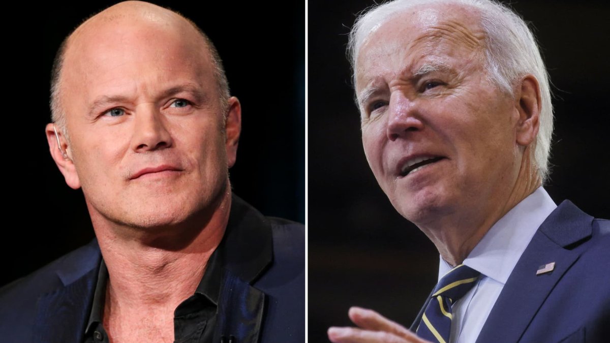 Crypto investor Mike Novogratz, major Biden 2020 donor, to back longshot Dean Phillips - Vimarsana News