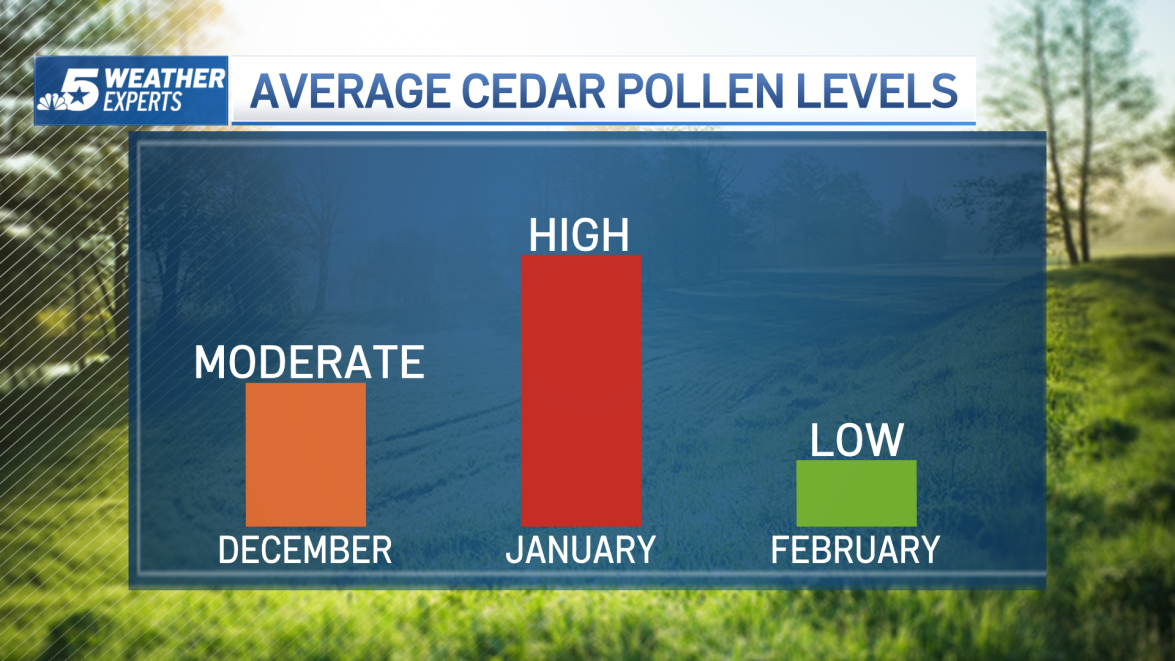 Cedar fever in full swing in North Texas – NBC 5 Dallas-Fort Worth